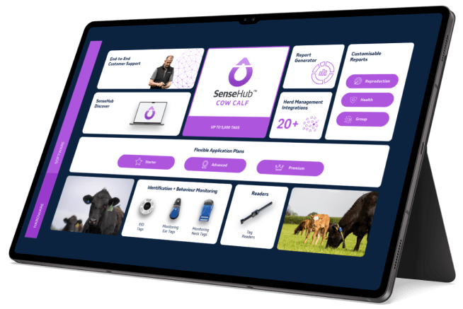 Tablette avec l'application sensehub en violet